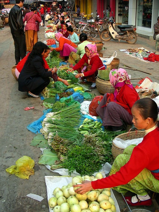 DSCN1964
