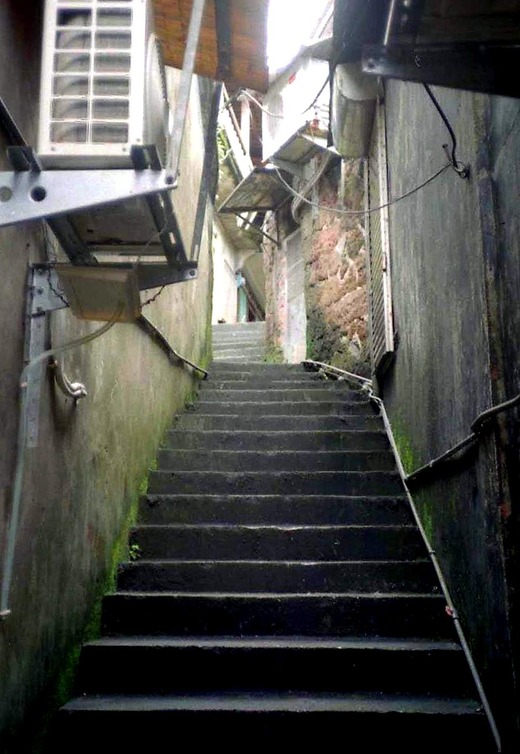src_10697661