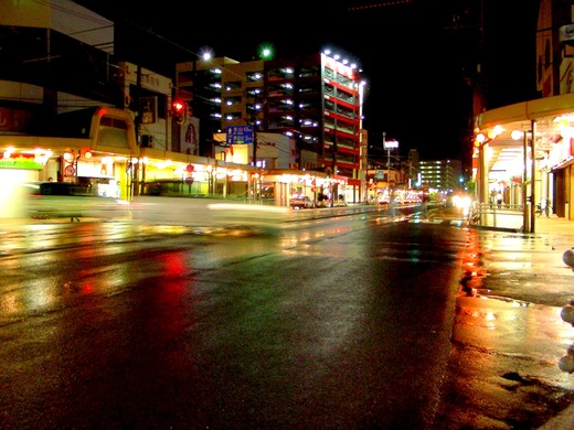 DSCN3335