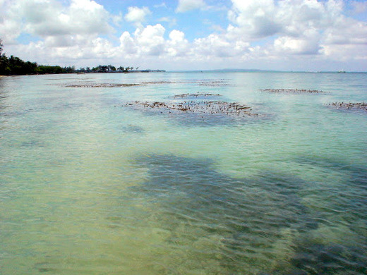 DSC00206