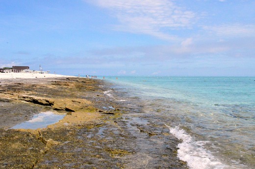 DSC_0011 (1)