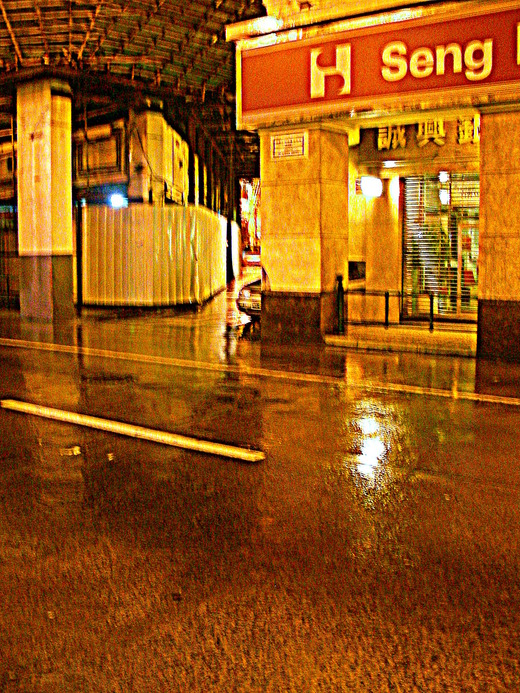 DSCN0939