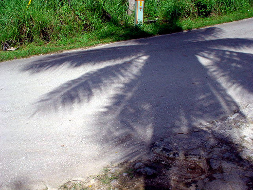 DSC00276