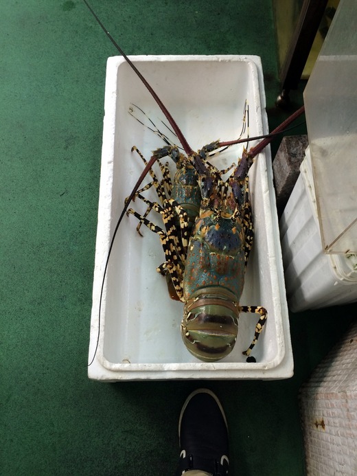 20150407_061418048_iOS