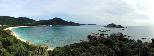 IMG_0869