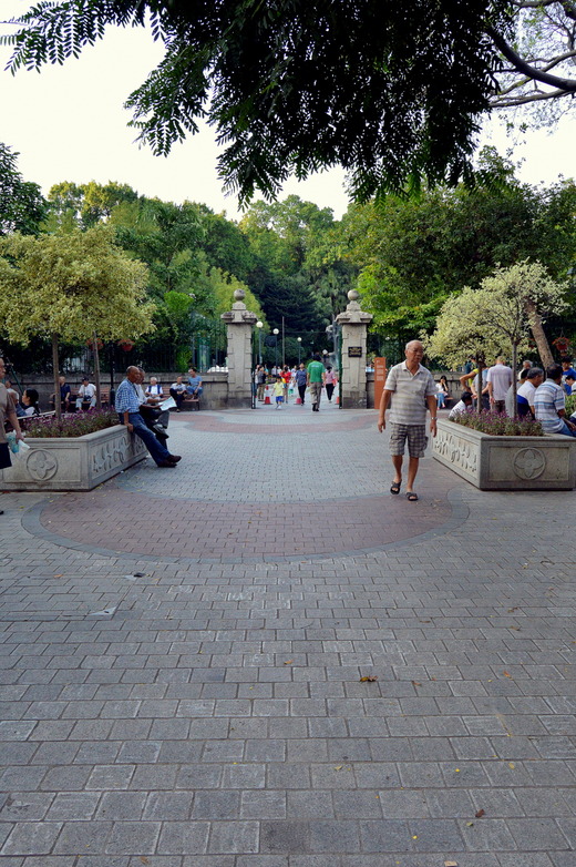 DSC_0061