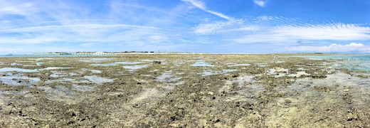 IMG_0205