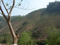 src_12004675