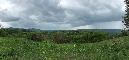 IMG_1303