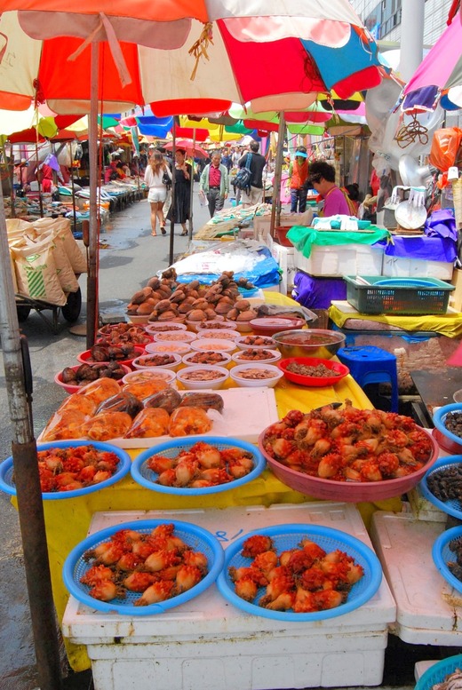 2014 Pusan Korea 037