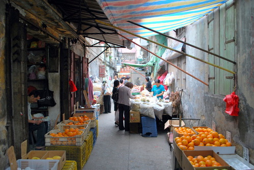DSC_0079-1