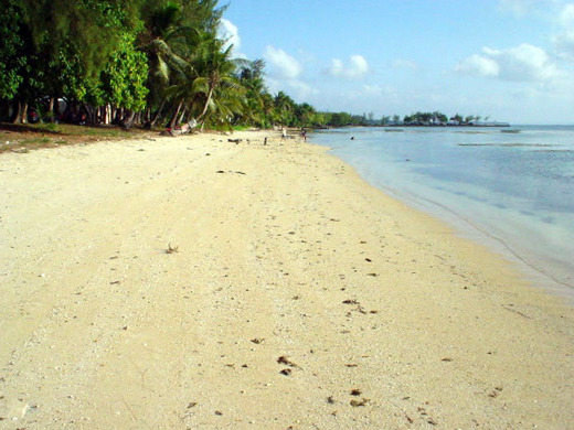 DSC00358