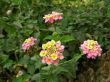 fdf3a749.jpg