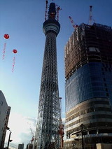 8d86ebc5.jpg