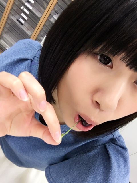 7c85ff24.jpg