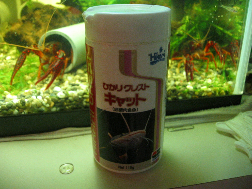 ザリガニの餌ですが ザリガニの飼育記録 シーズン２