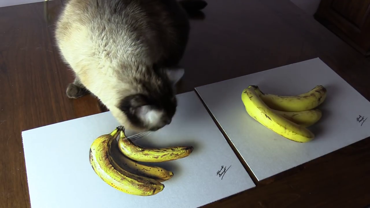 リアルなバナナの絵と本物のバナナを見比べた猫の反応 おったまげネット