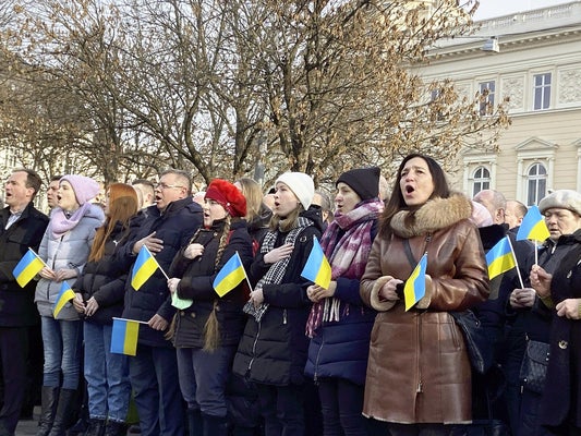 ソース画像を表示