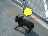 BlogPaint