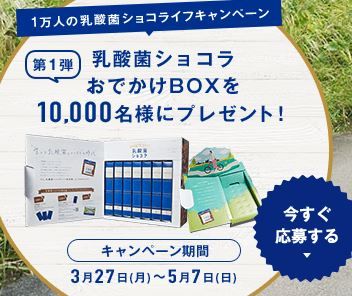 乳酸菌ショコラBOX
