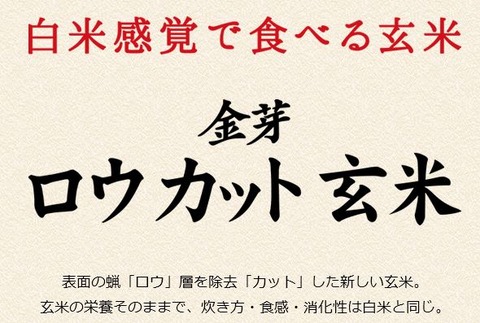 玄米