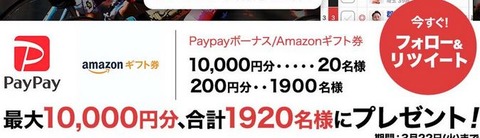 ペイペイかアマギフ