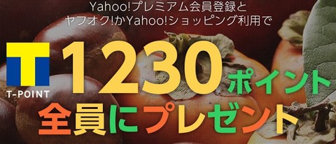Tポイントもらえる