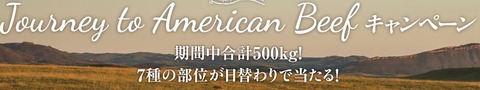 アメリカンビーフ