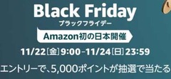 ブラックフライデー