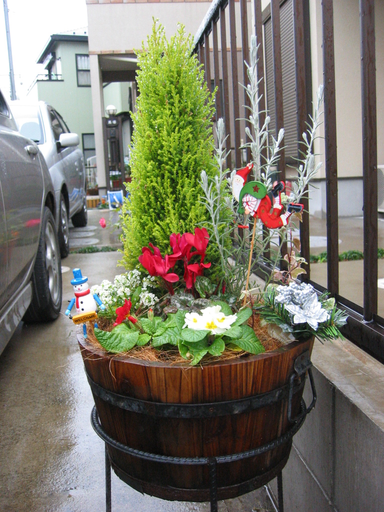 クリスマス寄せ植え 大詰め 花咲く小庭