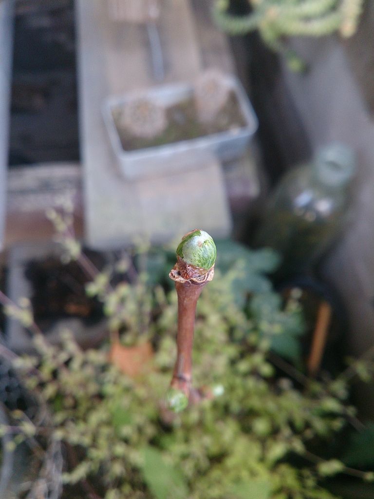 DSC_8615