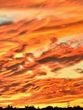 IMG_0426