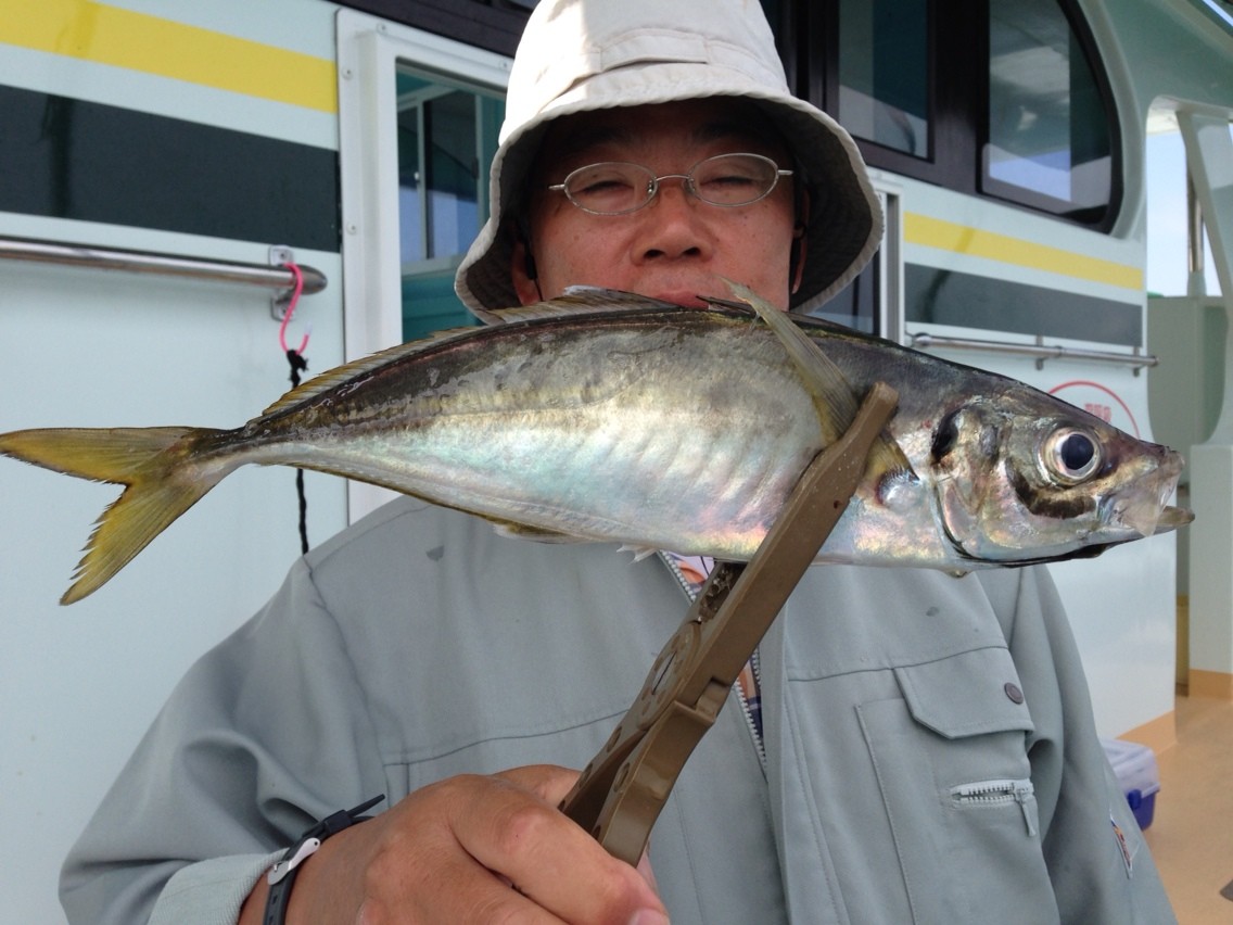 ロイヤリティフリーアジ 大きい すべての魚の画像 ロイヤリティフリーアジ 大きい すべての魚の画像