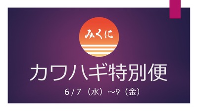 ¥¤¥ª¥ó ¥Ü¡¼¥É¥ë¡¼¥à