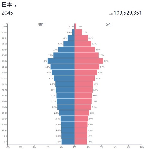 2045年日本人口ピラミッド