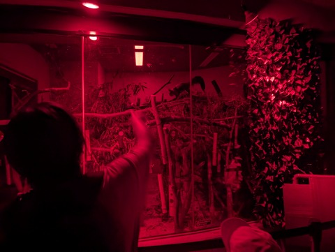 PXL_20251028_031930776