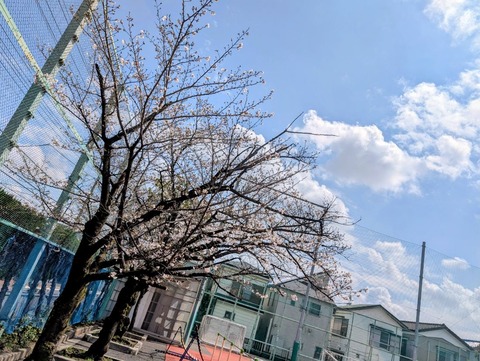 PXL_20260327_034510437~2