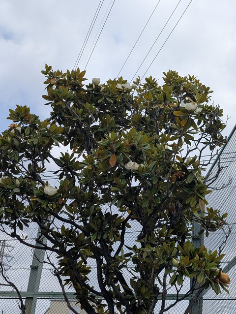 PXL_20260527_013655655