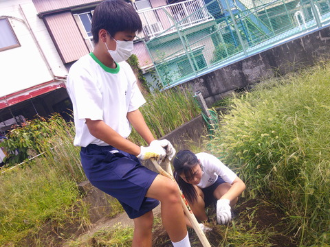 DSCF0042