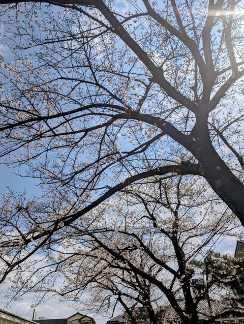 PXL_20260327_034837394~2