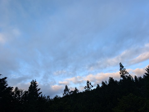 PXL_20260929_211524254