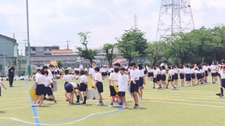 thumbnail_250627102847639~2