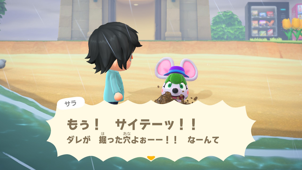 とび 森 サラ とび 森 サラ