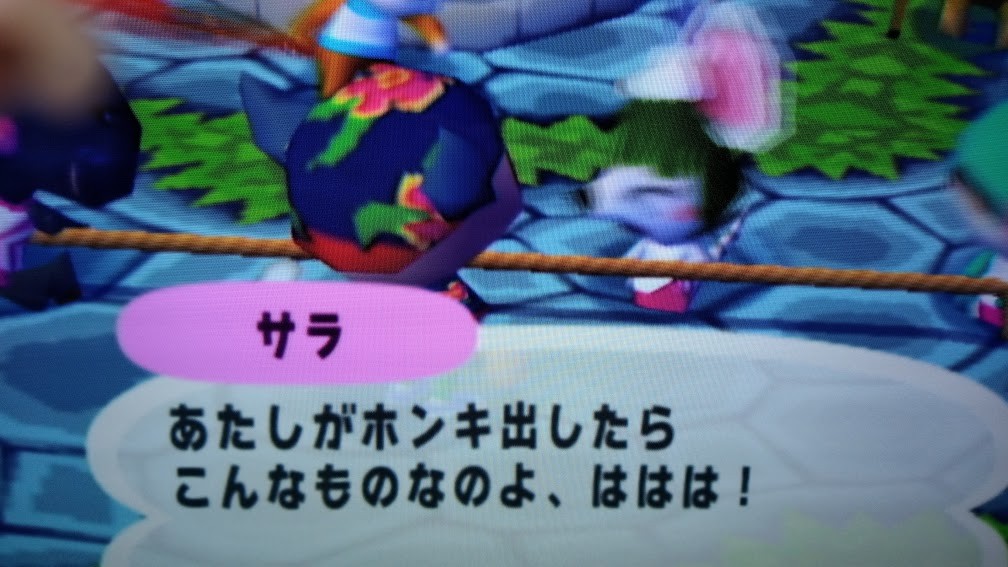 どうぶつの森e 体験記 7 綱引き ふらふら滞在記 あつ森 とび森ブログ