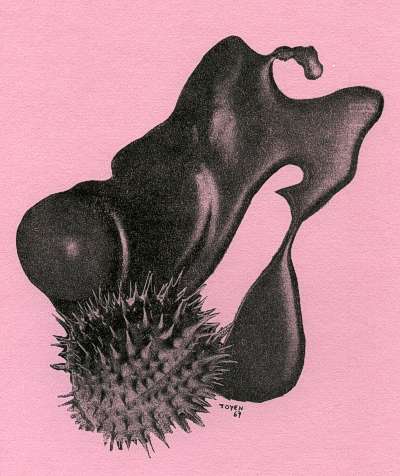 toyen36