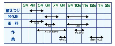 栽培カレンダー