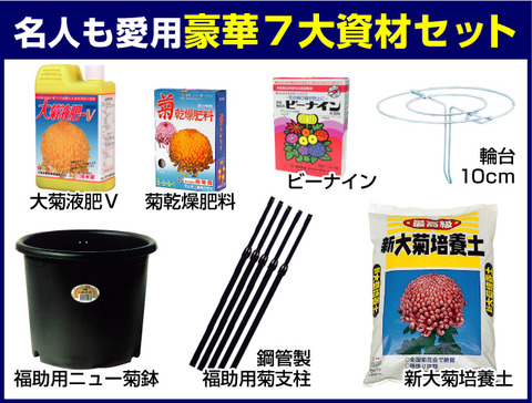 菊作り資材セット