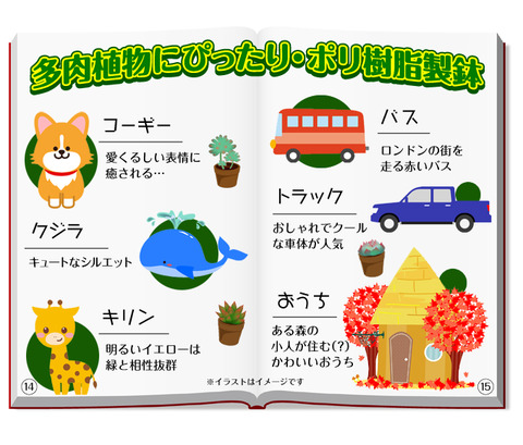 多肉 ポリ1