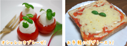 yasai-blog7