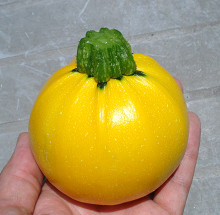 gorudhi